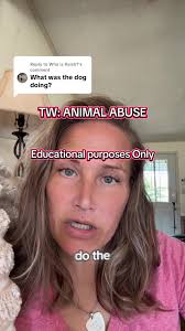 Replying to @Who is Keish? The dog loved and trusted and that love and...