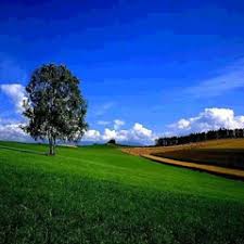 ((جَزَاؤُهُمْ عِنْدَ رَبِّهِمْ جَنَّاتُ عَدْنٍ تَجْرِی مِنْ تَحْتِهَا الْأَنْهَارُ خَالِدِینَ فِیهَا أَبَدًا ۖ رَضِیَ اللَّهُ عَنْهُمْ وَرَضُوا عَنْهُ ۚ ذَٰلِكَ لِمَنْ خَشِیَ رَبَّهُ)) سوره بینه آیه 8. Ø¬Ù†Ø§Øª Ø¹Ø¯Ù† ÙŠØ¯Ø®Ù„ÙˆÙ†Ù‡Ø§2 Ø¹Ø¨Ø¯ Ø§Ù„Ù†Ø§ØµØ± By Nasser Elsaed