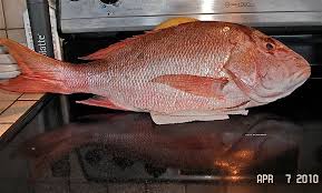 Fish tacos en la parguera. Sama Fish La Parguera Puerto Rico Mapio Net