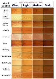 Info on wood species for cabinets. Ultimate Guide To Shaker Kitchen Cabinets Home Stratosphere