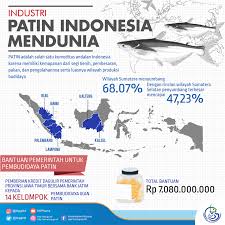 Umpan ikan patin berbentuk pelet memang bisa dengan mudah ditemukan di berbagai toko ikan atau toko alat pancing. Kementerian Komunikasi Dan Informatika