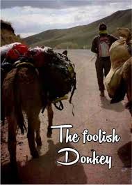4k and hd video ready for any nle immediately. The Foolish Donkey English Children Story Veerabathina Manaswi Sagar