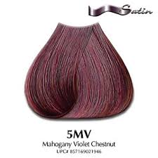 Biolage Plant Based Hair Color Swatches Color 5mv Mahogany Violet Chestnut Hair Coloring Satin Hair Color Mahogany Hair Hair Color Mahogany Matrix Hair Color