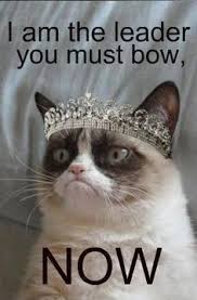 1bdbf474f0d7e03f3d62303eeb59716f Jpg 236 358 Grumpy Cat Meme Grumpy Cat Grumpy Cat Quotes