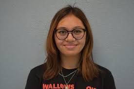 Tennis Team Preview 2019