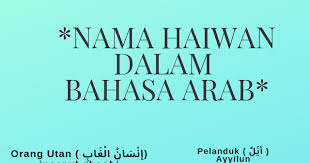 Kami sudah melengkapinya dengan makna, fakta unik, dan popularitasnya di berbagai negara. Nama Nama Haiwan Dalam Bahasa Arab