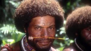Résultat de recherche d'images pour "melanesian"