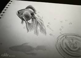 Pencil drawing of koi fish | koi.gif by jonathon reese. Drawing Fish 3d By Alaadin On Deviantart