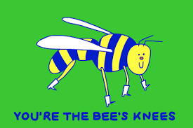 They utilized the existing 'bee's knees' phrase to add to that list. Bees Knees Gifs Get The Best Gif On Giphy