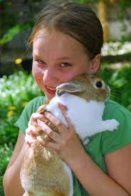 We take pride in our neat, skilled, professional team with their main focus being: Mobile Petting Zoo Rentals In Los Angeles Fun Factory Parties