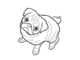 There are a number of causes, including parasites, illness or eating something they shouldn't have. Pug Coloring Pages Best Coloring Pages For Kids