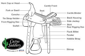 How To Fit A Western Saddle To Your Horse Big Dees Horse