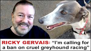 Derek Sharkey (@sharkey_derek)