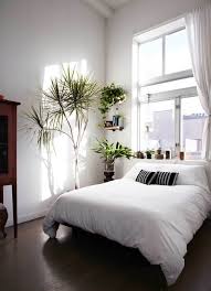 Bedroom Full Of Plants Http Www Brownstoner Com Interiors Renovation Interior Design Ideas Plants Bro Minimalist Bedroom Decor Minimalist Bedroom Design Home