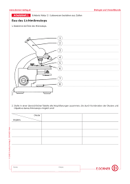 Gemeinsam ein beispiel anfertigen, damit jeder genau weiß, was zu tun ist. Bau Des Lichtmikroskops