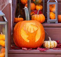 See more ideas about halloween stencils, pumpkin carving, pumpkin carvings stencils. 43 Free Pumpkin Stencils For Your Best Jack O Lanterns Yet Better Homes Gardens