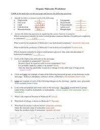 Pin On Biology Revision