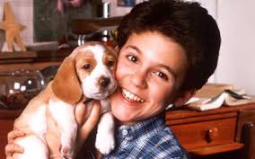 Essential Seven Reasons I Hate Kevin Arnold