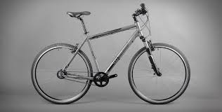 Musing Fahrrad Feinkost