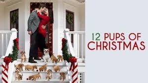 Hulu's puppies crash christmas is the holiday programming you need. Full List Of Movies And Tv Shows On Hulu Flixable