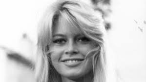 Www.fondationbrigittebardot.fr world fans of amazing french actress and animal right activist brigi. Alle Infos News Zu Brigitte Bardot Vip De