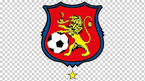 Copa_sudamericana_logo.png ‎(300 × 175 pixels, file size: Caracas Fc Everton De Vina Del Mar 2018 Copa Sudamericana Venezuelan Primera Division Others Logo Shield Fictional Character Png Klipartz