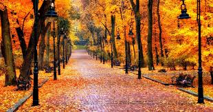 Hd picture of nature with waterfall on autumn forest; 17 High Resolution Autumn Hd Wallpaper Basty Wallpaper