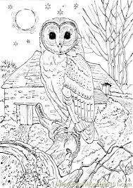 We've got more owl colouring pages suitable for younger children coming very soon. Owl Sit School Coloring Page Free Printable Coloring Pages Owl Coloring Pages Detailed Coloring Pages Animal Coloring Pages