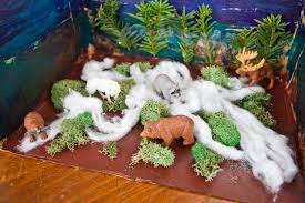 Biome In A Box How To Make A Taiga Diorama Synonym Biomes Project Ecosystems Diorama Biomes