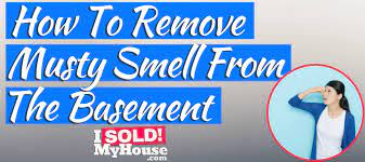 If you've successfully addressed the source of sewage smell in the basement and solved the problem, that's excellent. How To Get Rid Of Musty Smell In Basement Keep Away