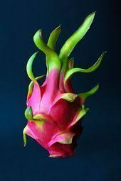 Dragon Fruit Andrew Scrivani For The New York Times Dragon Fruits Are Deliciou Andrew Deliciou Dragon Fr New York Times Exotische Fruchte Drachenfrucht