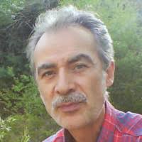 10+ "Behrouz Torabi" profiles