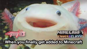 The 'caves and cliffs update' isn't. Phoenix Sc Hamish On Twitter Minecraft Live 2020 Memes Caves Cliffs Update Https T Co Ouhquqzn2v