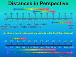 How big is a human cell in nanometers. If An Atom Were The Size Of A Pea How Big Would A Cell Be Can You Compare It To Something Quora