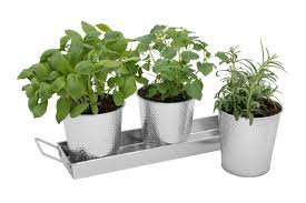 We did not find results for: Galvanized Herb Pots Set Of 3 Indoor Planters With Drainage And Tray For Sale Online Ebay