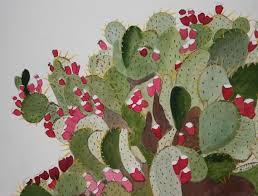 Prickly pear cactus — or also known as nopal, opuntia and other names — is promoted for treating diabetes, high cholesterol, obesity and hangovers. Prickly Pear Painting By Michele Turney
