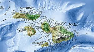 Field interpretation of active volcanoes. Hawaii Karte 89 X 58cm