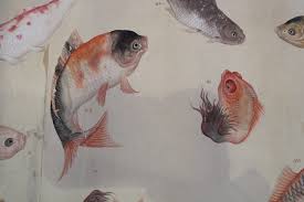 Ikan gambar sketsa mewarnai untuk binatang menggambar hitam putih anak fish hewan kolase mudah yang warna bersisik laut tema terbaik. 101 Gambar Lukisan Ikan Hitam Putih Kekinian Gambar Pixabay