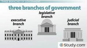 The senate is composed of two senators from each state. The 3 Branches Of Government Executive Legislative Judicial Video Lesson Transcript Study Com