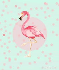 Shorely Chic Flamingo Friday Flamingo Art Flamingo Flamingo Print