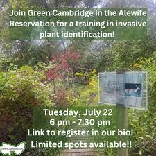 Did you know that the Alewife Reservation is overrun with invasive plants?  On July 22 at 6 pm, join us to learn how to identify these plants and help  us better steward