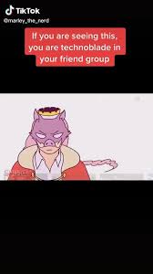 Pin By Bananaw On Dream Smp Tiktoks Video In 2021 Smp Dream