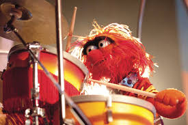 Who is the wild drummer on the muppet show? The Muppets Cover Your Ears It S Worldanimalday And Animal Is Celebrating With A 24 Hour Drum Solo Facebook