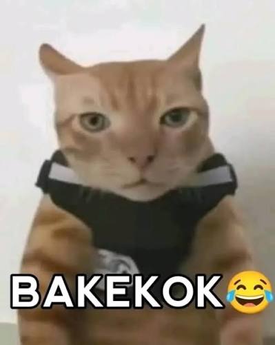 Pilihan 1