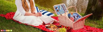 Hoe hou je alle hapjes en drankjes koel? Picknick Geschichte Historie Picknicken Picknickkorb
