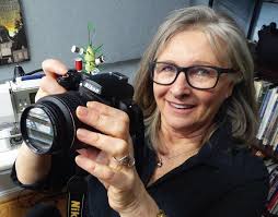 Art Quilt Quarterly #16 (SAQA) by SAQA