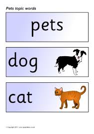 pet animals primary teaching resources and printables