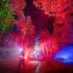 Illuminator Night Trail Race event image