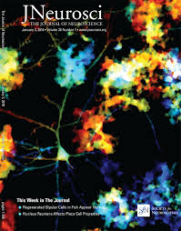 Select the number of pages per sheet. Restoration Of Dendritic Complexity Functional Connectivity And Diversity Of Regenerated Retinal Bipolar Neurons In Adult Zebrafish Journal Of Neuroscience