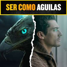 Montalvo Contractor Services